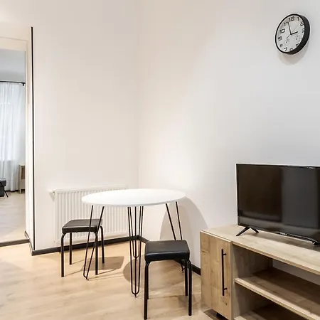 Modern In The Old Apartment